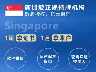 新加坡公司注冊全攻略：2025年最新政策與維護指南